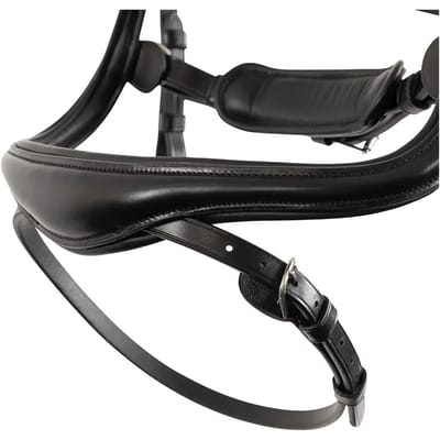 Anatomisch ruiterbit BR Equitation Horley