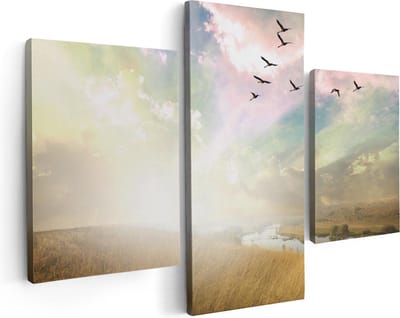 Artaza Canvas Schilderij Drieluik Groep Vogels Vliegen Boven Het Gras - 90x60 - Foto Op Canvas - Canvas Print