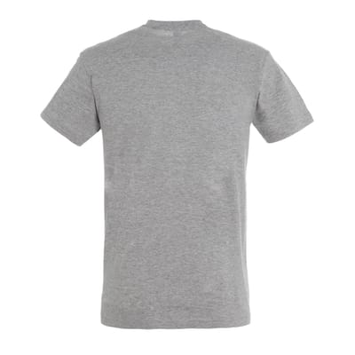 SOLS Unisex Normaal T-shirt voor volwassenen (Grijze Melange)