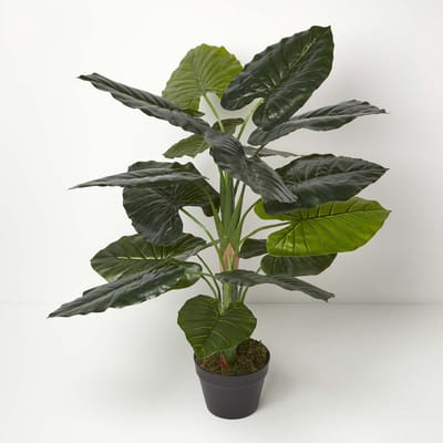 Homescapes Taro Kunstplant in Pot Olifantoor 90 cm