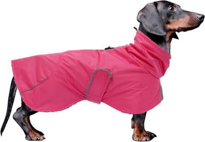 Waterdichte Winterjas voor Teckels, Perfecte Snowsuit met Fleecevoering en Verstelbare Bandjes, Reflecterende Accenten - Roze - M