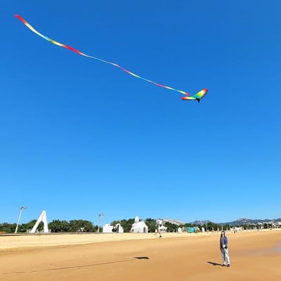 Grote Stranddeltavliegers voor Kinderen en Volwassenen - 3-pack Vliegers voor Beginners, Eenvoudig te Vliegen