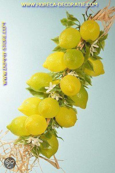 Citroenen, grote streng, 20 stuks (decoratie)