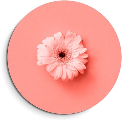 KitchenArt - Coral Gerbera – Muurcirkel Binnen - ø 40 cm - Wandcirkel - Mét Ophangsysteem - Wanddecoratie - Muurdecoratie