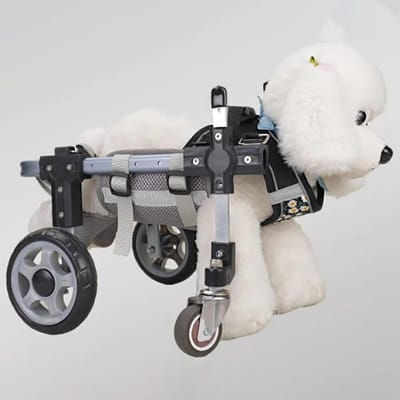 Hondenrolstoel - Huisdier Hulp - Mobiliteit Verbeteren - Verstelbaar Aluminium - 2 Wielen - Zilver
