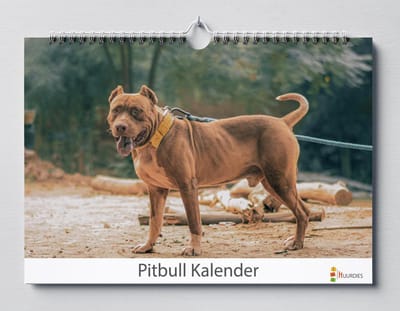 Pitbull verjaardagskalender | Pitbulls wandkalender | Verjaardagskalender 35x24 cm