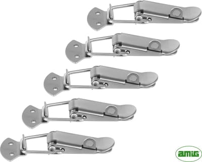 AMIG – 5 stuks - Kistsluiting met oog voor Hangslot – 16 x 60mm – Vernikkeld Staal - Eierkistsluiting Spaansluiting Klemsluiting