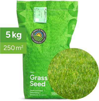 Allround: Graszaad Universeel Recreatiegazon - 5 kg voor 250 m² - Vlotte kieming en vestiging - Diepe en sterke beworteling - Bestand tegen schaduw en droogte