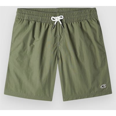O'Neill Vert 14 Kids Boardshorts groen