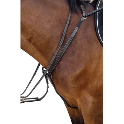 Jachthalsband voor paarden met gevlochten brug Dy'on