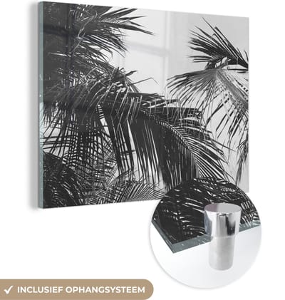 MuchoWow® Glasschilderij 120x90 cm - Schilderij acrylglas - Palmbladeren - Natuur - Vintage - Palmboom - Foto op glas - Schilderijen