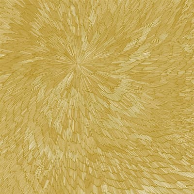 Pjev, Kit Downes & Hayden Chisholm - Medna Roso (CD)