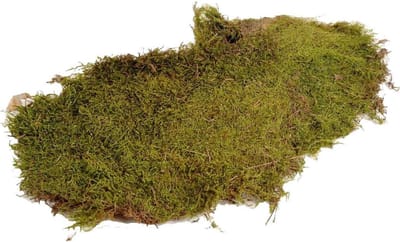 HBX natural living mos decoratie Hobby Flat Moss 80 gram groen.
