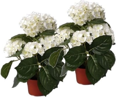 Topart kunstplant met bloemen - 2x - Hortensia - wit - H36 cm - Dia 10 cm - Bloemetjes - Hydrangea