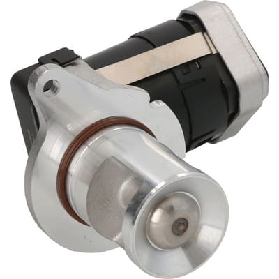 EGR-klep DELPHI EG10428