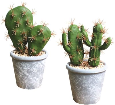 Allecto - Kunstmatige vetplanten - Neppotten - Perfect voor huisdecoratie - Set van 2 - Decoratieve nepplanten - Geschikt voor badkamer en slaapkamer