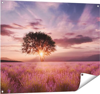 Gards Tuinposter Bloemenveld met Lavendel bij Zonsondergang - 100x80 cm - Tuindoek - Tuindecoratie - Wanddecoratie buiten - Tuinschilderij