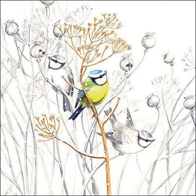 CraftEmotions servetten 5st - Koolmeesje 33x33cm Ambiente 13316705