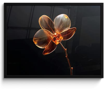 Poster in lijst - Fotolijst 70x50 cm - Posters - Orchidee - Doorzichtig - Bloem - Posterlijst zwart - Decoratie - Wanddecoratie woonkamer - Muurdecoratie slaapkamer