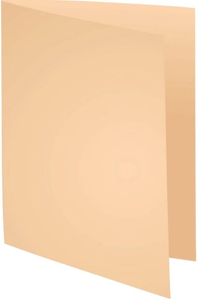 Exacompta 5x FOREVER 170 - Pak van 100 dossiermappen 170g/m2- 24x32cm voor A4. - Gems - 420002E