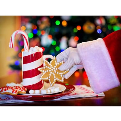 Diamantmozaïek Cartoon Kerstkoekjes Foto Strass Schilderij Behang Kerstversiering 20X30CM black