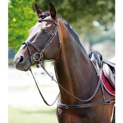 Elastische paardenkraag met afneembare hals Tattini