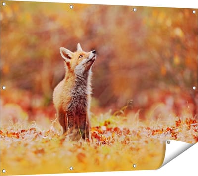 Gards Tuinposter Vos in het Bos tussen de Bladeren - 120x90 cm - Tuindoek - Tuindecoratie - Wanddecoratie buiten - Tuinschilderij