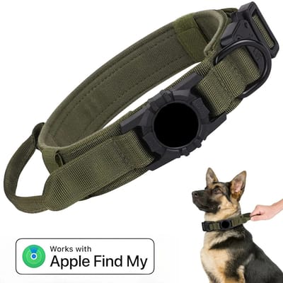 BlueTime - Hondenhalsband inclusief Tag - Hondenriem - Honden Halsband - Hondentuig - Honden Tuigje - Geschikt voor Apple Find My - Maat M - Groen
