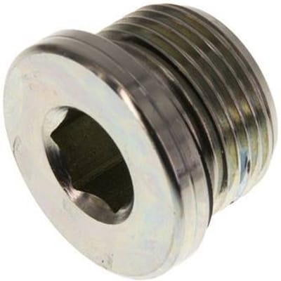 G 3/4'' Buitendraad Verzinkt Stalen Plug met binnenzeskant en NBR Afdichting 400 Bar [2 Stuks]