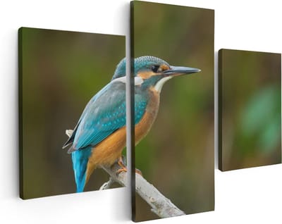 Artaza Canvas Schilderij Drieluik Blauwe IJsvogel Op Een Tak - 90x60 - Foto Op Canvas - Canvas Print