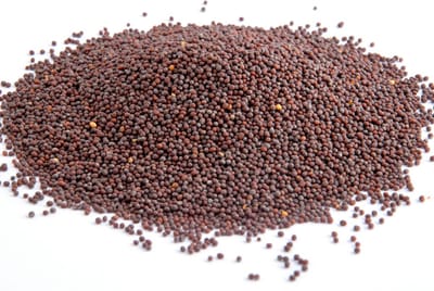 Tuana Kruiden - Mosterdzaad Bruin Heel - Bakje 80 Gram - Tuanashop - KP0182