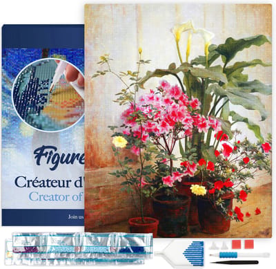 Figured'Art Diamond Painting set Volwassenen 40x50 cm met lijst Zijkant van een serre - George Cochran Lambdin - 5D DIY Art full drill vierkante diamant - Canvas al ingelijst