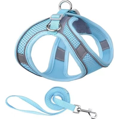 Hondentuigje en riemset voor kleine honden Verstelbaar puppytuigje Vest Franse bulldog Chihuahua hondentuigje en riemset puppy XXS 1.5-3kg
