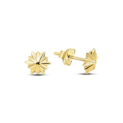 New Bling 9NBSAM-G230238 Gouden Oorknopjes Ster - Halfbol - 5,8mm Doorsnee - 14 Karaat - Goud