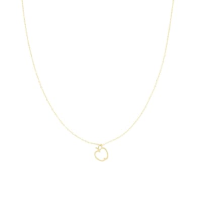OOZOO Jewellery - Goudkleurige ketting met een appel - SN-2043