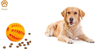 Honden Speelgoed - Hondenspeeltjes - Hondenbal - Hondenspeelgoed - Honden Speelgoed Intelligentie - Honden Bal - Snackbal Hond - Kauwspeelgoed Hond - Oranje- 6 Cm