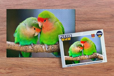 Puzzel Twee schoonmakende dwergpapegaaien - Legpuzzel - Puzzel 1000 stukjes volwassenen
