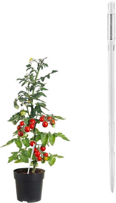 Bodemtester - Grondmeter Tuin - Planten Verzorgen - Batterijvrij Kleurindicator - Maat L - Wit