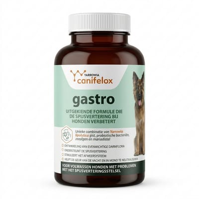 Canifelox Gastro 240g – Spijsvertering & Darmflora Supplement voor Honden – Met Probiotica, Zeealgen & Mariadistel – Ondersteunt Maag en Darmen