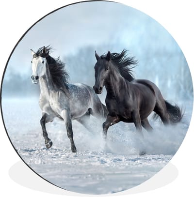 WallCircle - Wandcirkel - Muurcirkel - Paarden - Winter - Dieren - Natuur - Sneeuw - Aluminium - Dibond - 30x30 cm - Binnen en Buiten