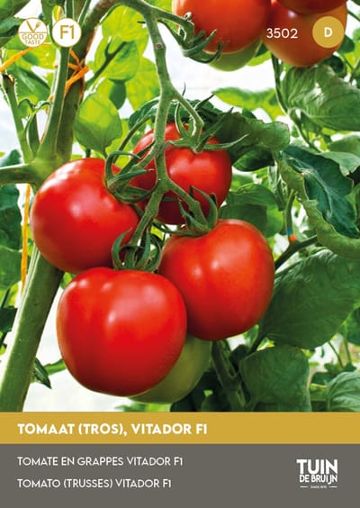 Tomaat Vitador F1 Zaden – Trostomaat met Zoete Smaak – ±25 Zaden – Hoge Opbrengst – Voor Kas & Tuin – Tuin de Bruijn