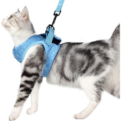 Harnais réglable anti-fuite pour petit chat, gilet léger et respirant pour animal de compagnie, harnais de câblage, ceinture de traction pour chaton S bleu