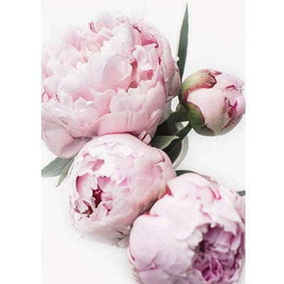 Peinture diamant image ronde pivoines, broderie diamant, mosaïque, strass 20X30CM white