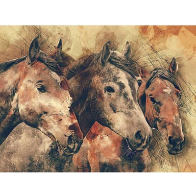 Diamant borduurwerk paard kristal schilderij volledige boor diamant schilderij dierenverf met diamanten 20X30CM black