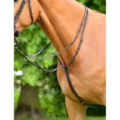 Plein martingale voor racepaarden Collegiate Comfitec Opulux