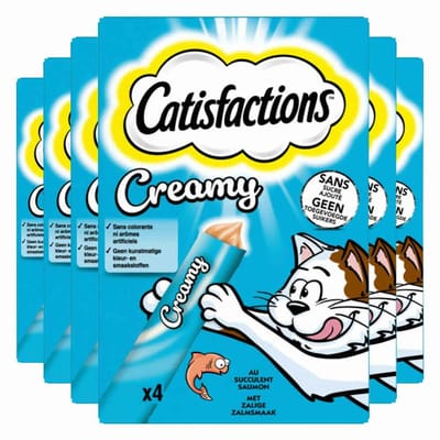 Catisfactions Kattensnack Zalm Creamy - 6 x 4 x 10 gr - Voordeelverpakking