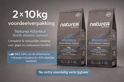 Naturea Grainfree Dog Ethos Atlantica Salmon 2x 10 kg Voordeelverpakking - Hond