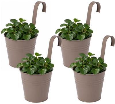 Progarden Bloempotje met haak - 4x - plantenbak zink met ophanghaak - bruin - 20 x 13 x 26 cm - ophangbaar - Balkon/schutting plantenpot