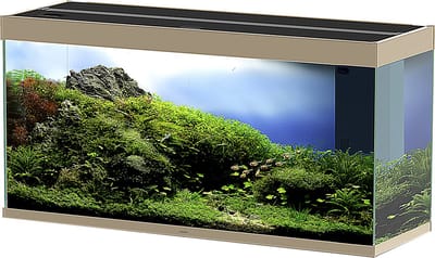 Ciano Aquarium emotions nature pro 120 NEW 121,2x40,2x61cm Mystic