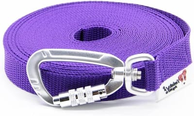 Dog Style Made in Germany dog leash without wrist loop with safety carabiner 15 mm wide for dogs up to 15 kg 3 m, purple